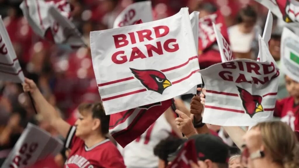 Best Puns and Wordplay Fantasy Name for Cardinals Fans